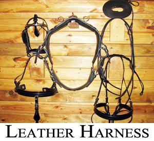 Leather Harness